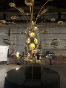 dangiracestlavie-venice-2025-28